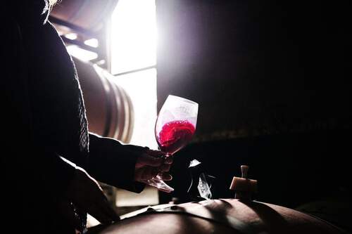 Glass of Wine in Barrel Room